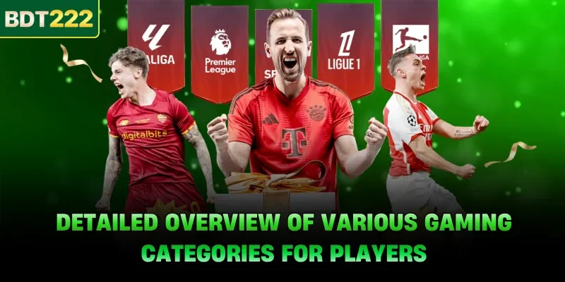 Detailed overview of various gaming categories for players