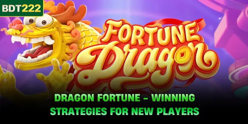 Dragon Fortune - Winning Strategies for New Players